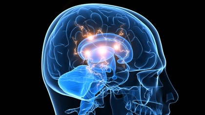 The most recent revision of the Diagnostic and Statistical Manual of Mental Disorders (DSM) has arrived, and the latest changes have caused divisions among those in the psychiatric community. So what do these changes mean for those currently dealing with mental health disorders?